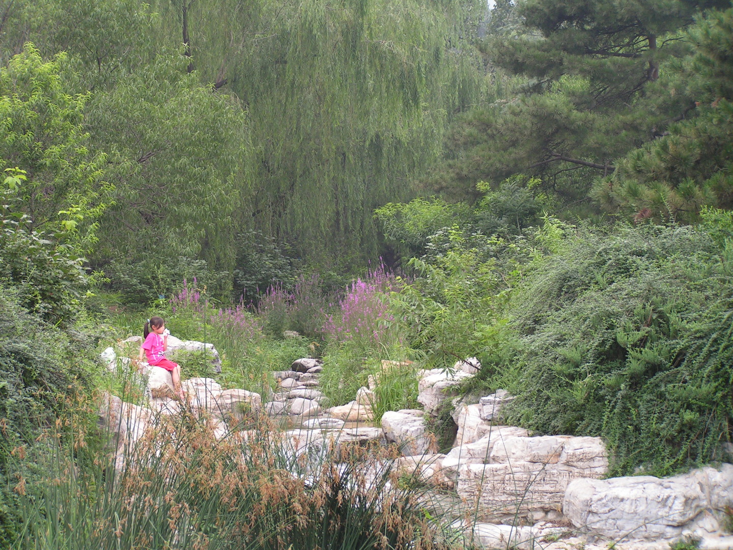 Beijing_20060803_078.jpg